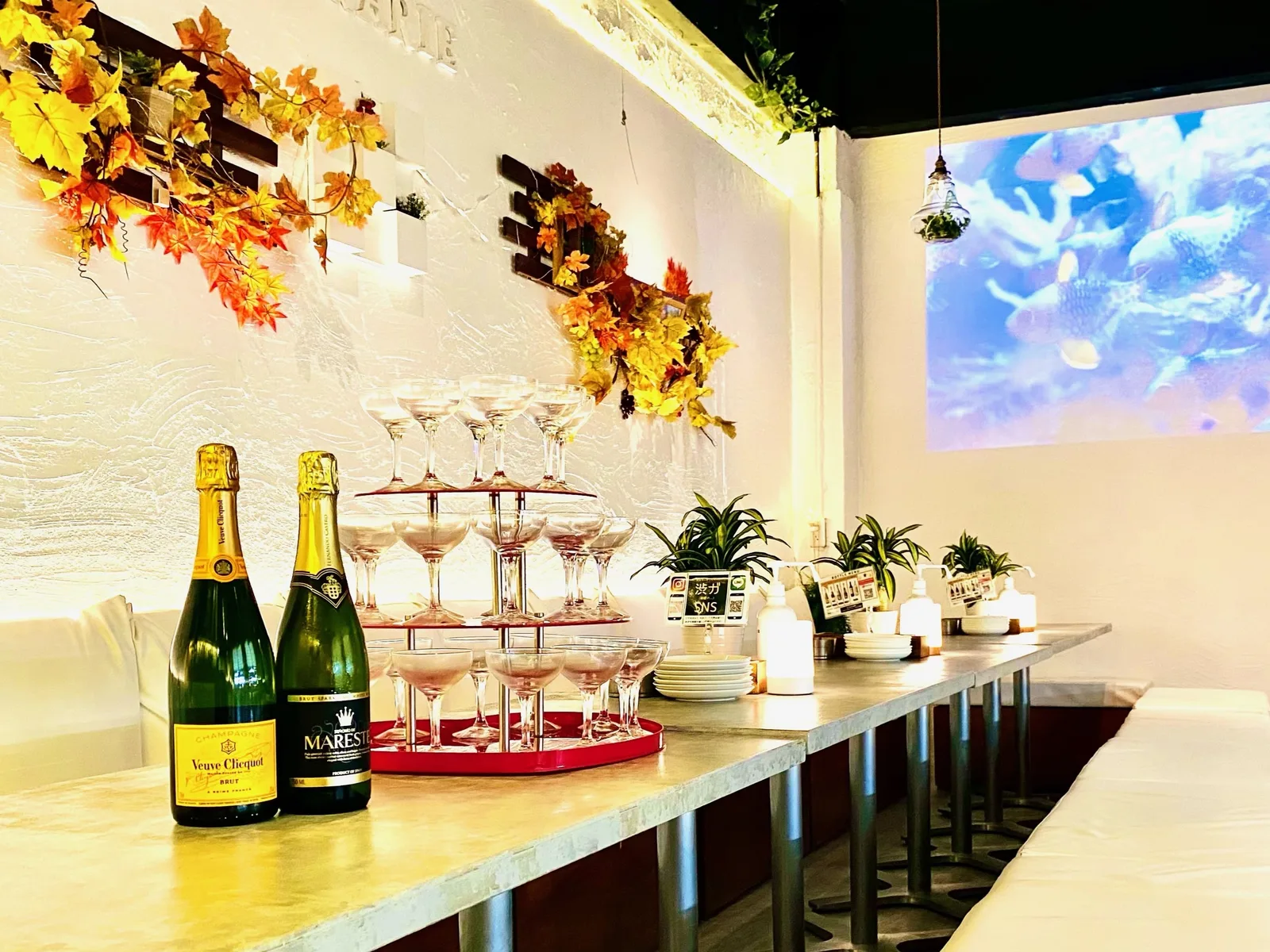渋谷 貸切パーティー会場 ピカリエリゾート本店の店内