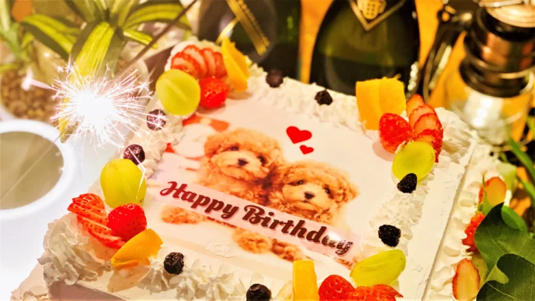 渋谷ピカリエは貸切に特化したオシャレな居酒屋です!30人の貸切はお任せください!